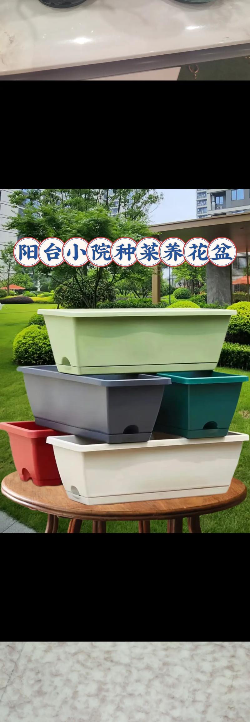 盆栽绿植：装点生活的小精灵